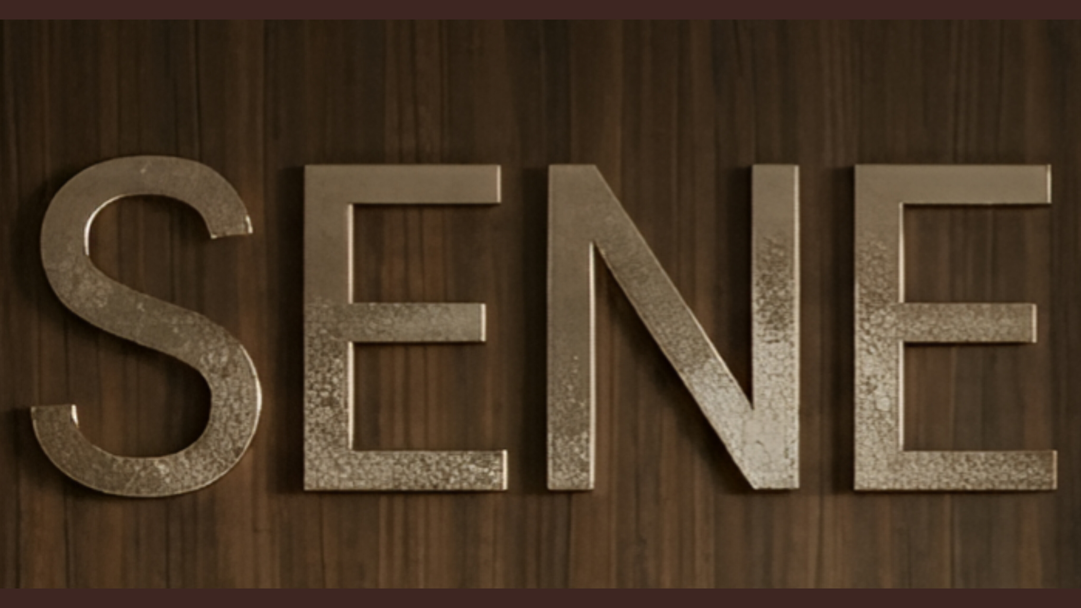 Capa SENE