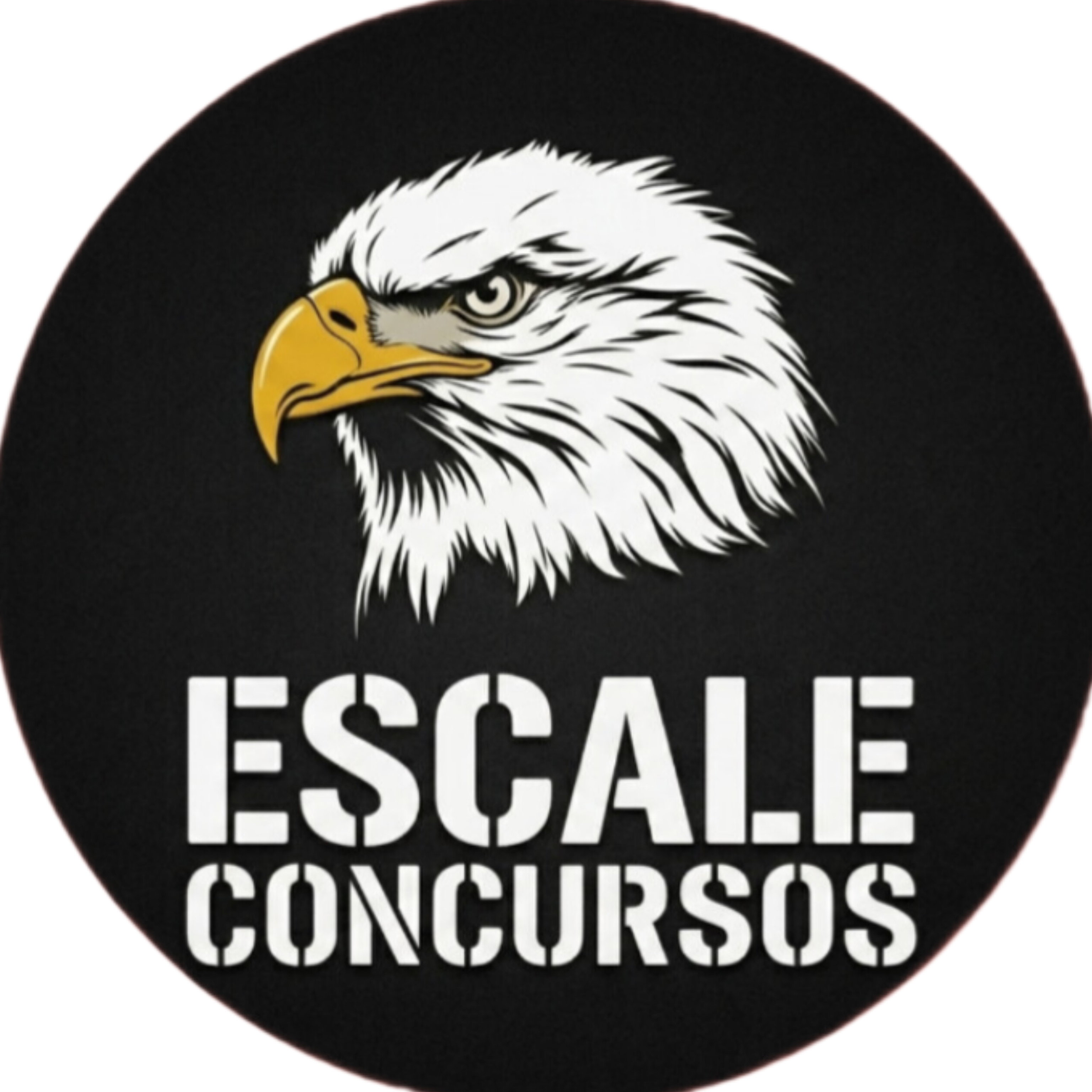 Escale Concursos